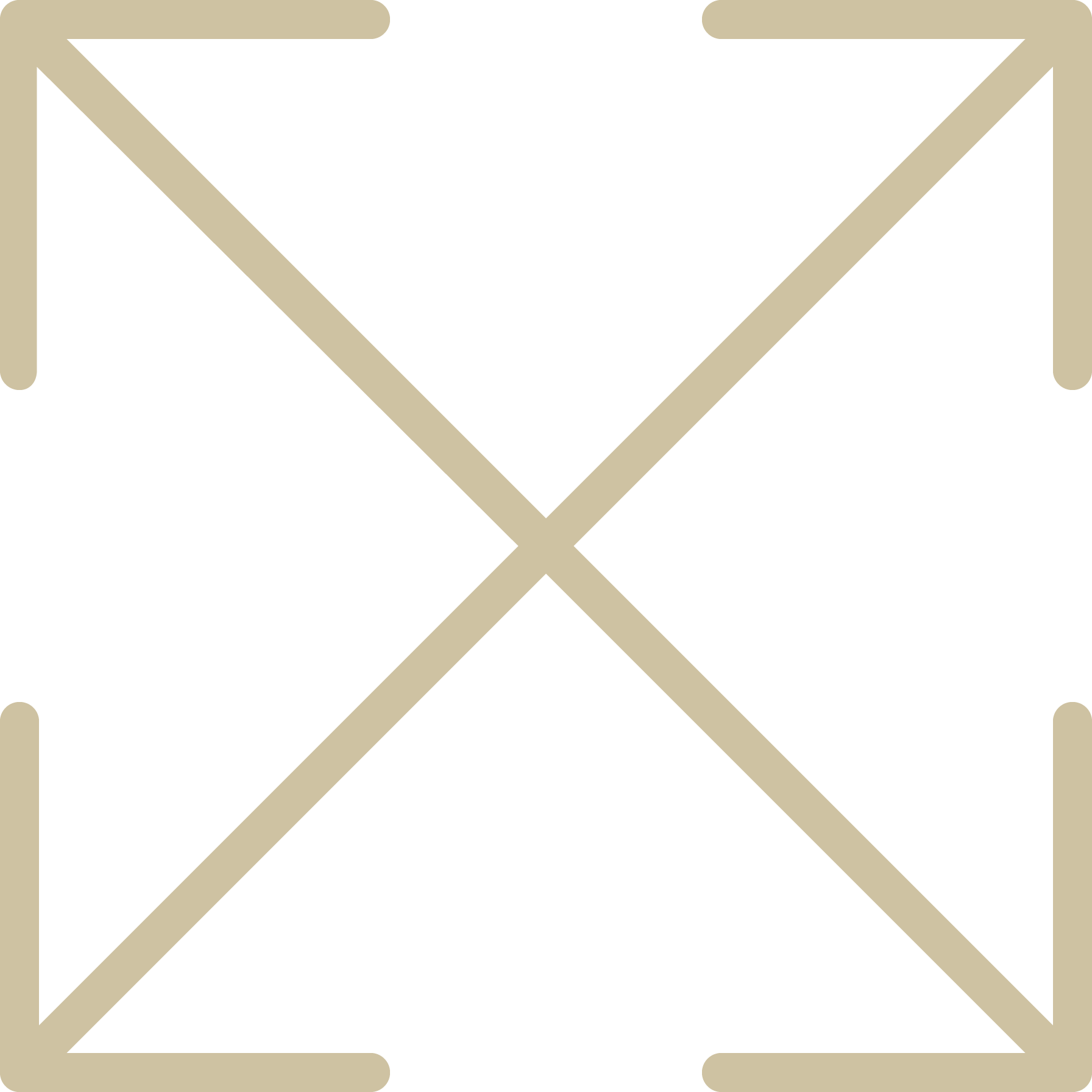 arrows scale icon